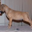 8 weeks old