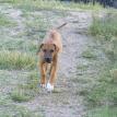 Turquoise girl, 10 wks