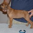 7 1/2 weeks old